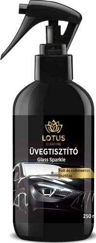 Autó üvegtisztító (250 ml)