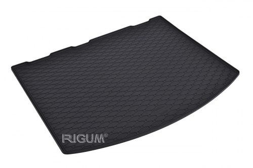 Ford Kuga (II) ( 2012-2019 ) Rigum